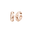 Picture of Mirrors secret Earring