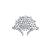 Picture of Galassia's Ring