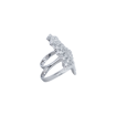 Picture of Galassia's Ring