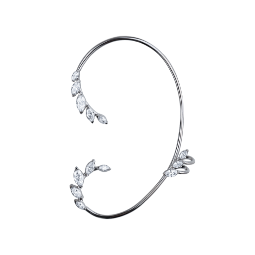 Picture of Galassia's ear piercing