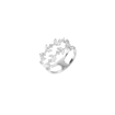 Picture of Galassia's Ring