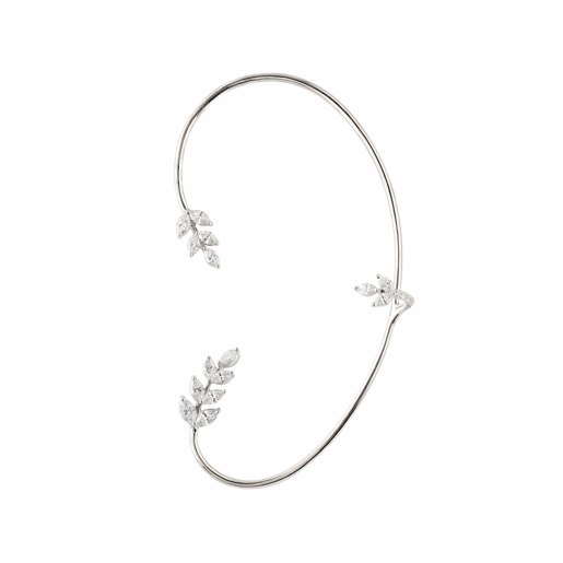 Picture of Galassia's ear piercing